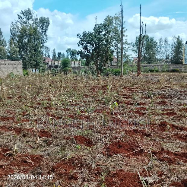 Two 50x100 Plots at Croton Ridge Estate - thumbnail 3