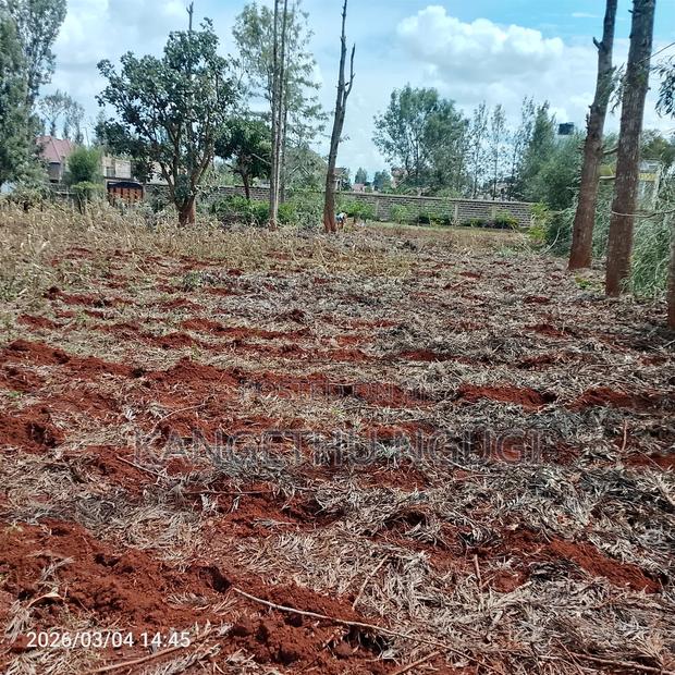 Two 50x100 Plots at Croton Ridge Estate - thumbnail 5
