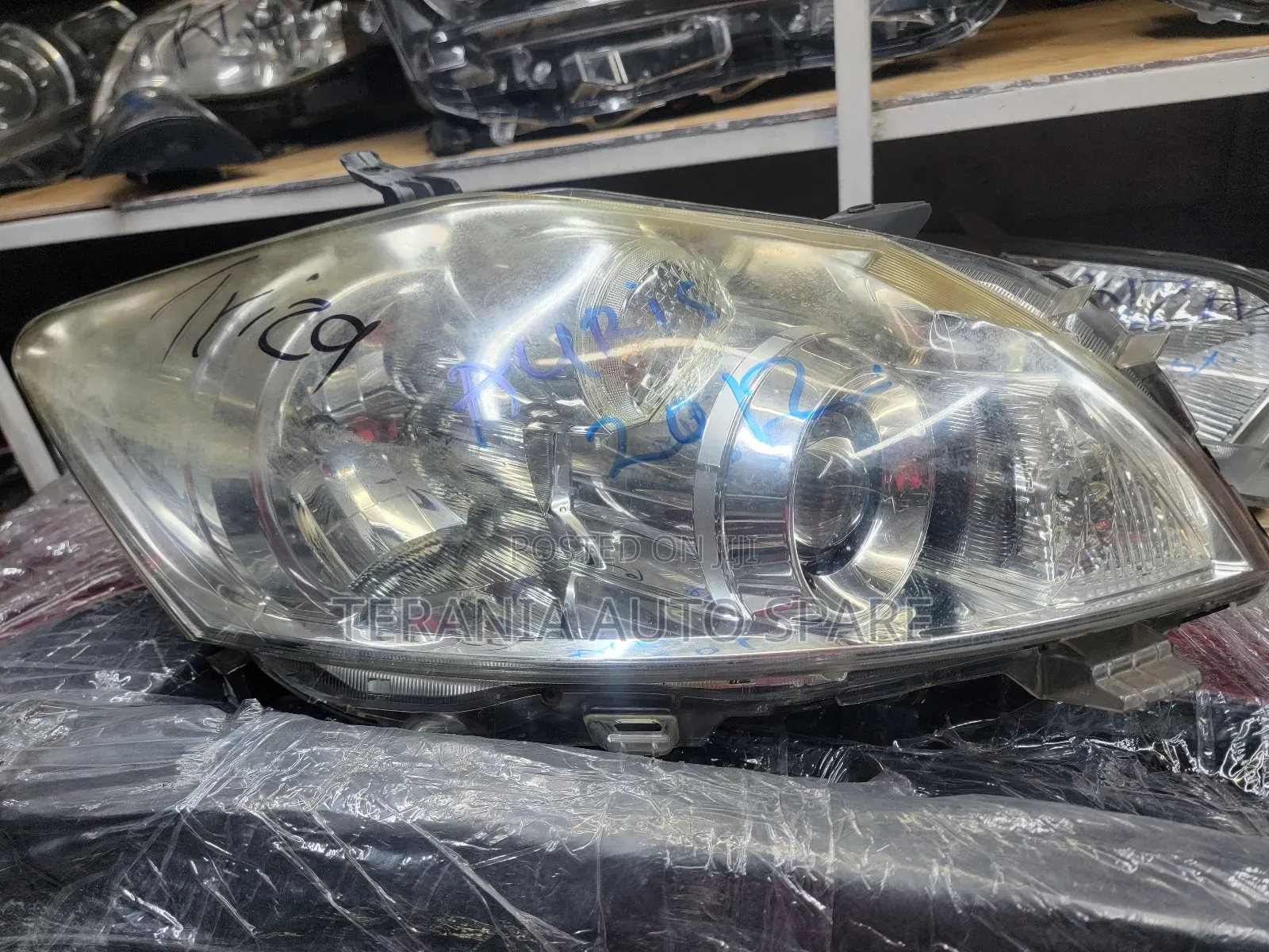 Auris 2010 Headlight Zenon