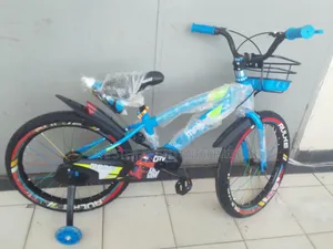 Blue Bike for Kids Upto 12yrs Recommended