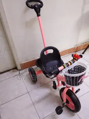 Kids Pink Tricycle With Push Handle