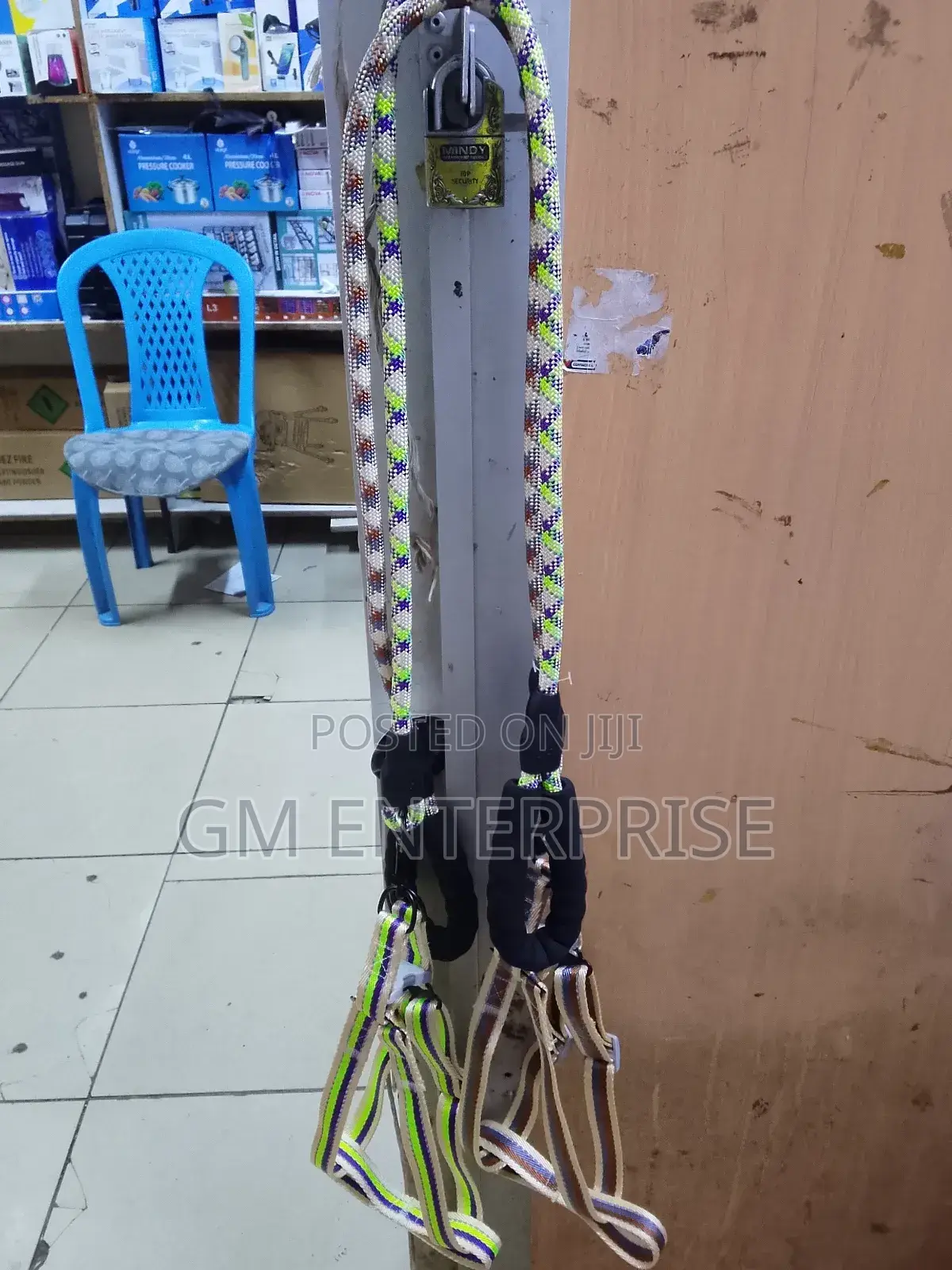 Dog Leash With Harness.