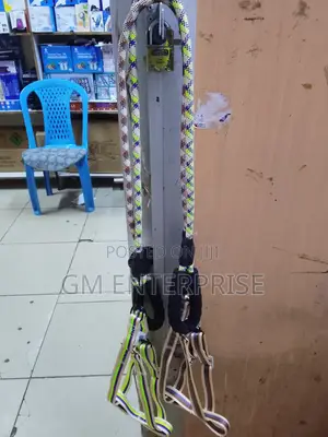Dog Leash With Harness.