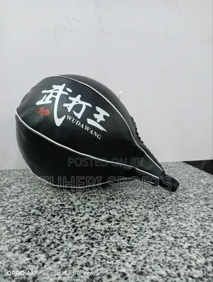 Speed Bag ;Premium Boxing Training Ball