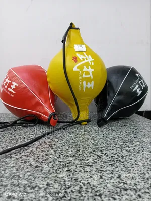 Speed Bag ;Premium Boxing Training Ball