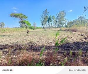 Kenol Mitiini Land - thumbnail 2