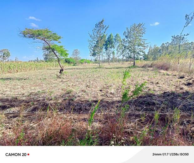 Kenol Mitiini Land - main view