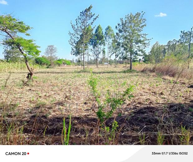 Kenol Mitiini Land - thumbnail 3