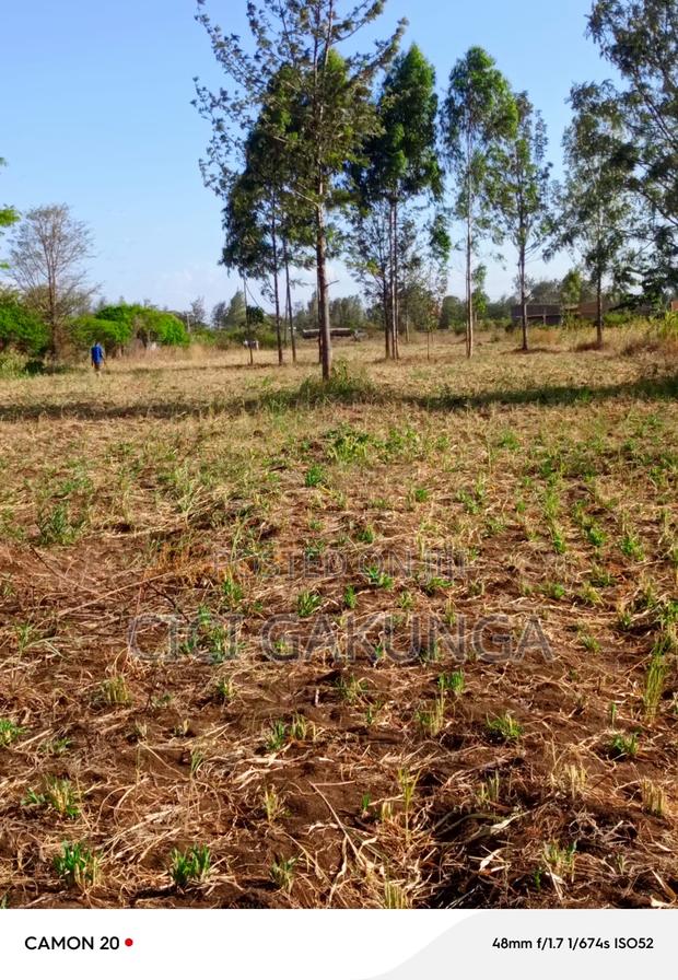 Kenol Mitiini Land - thumbnail 6