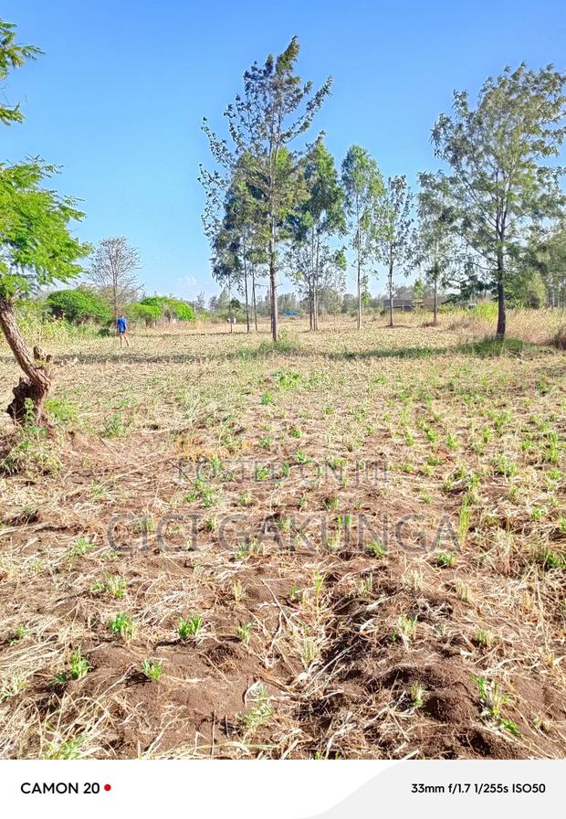 Kenol Mitiini Land - thumbnail 4