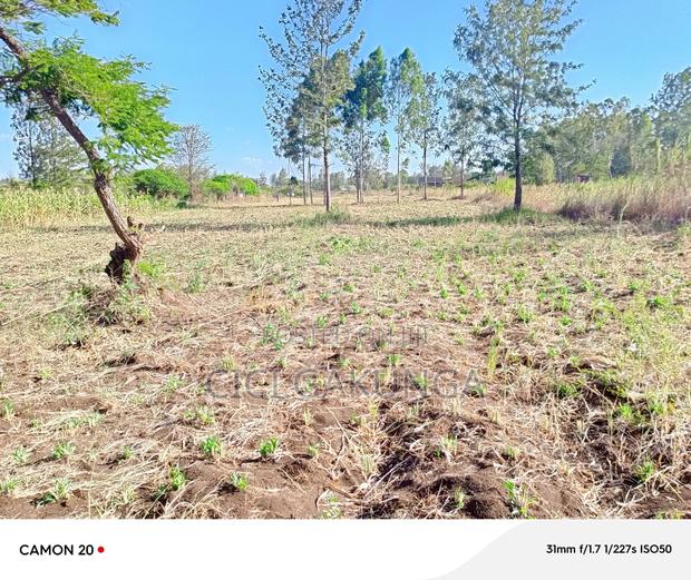 Kenol Mitiini Land - thumbnail 5