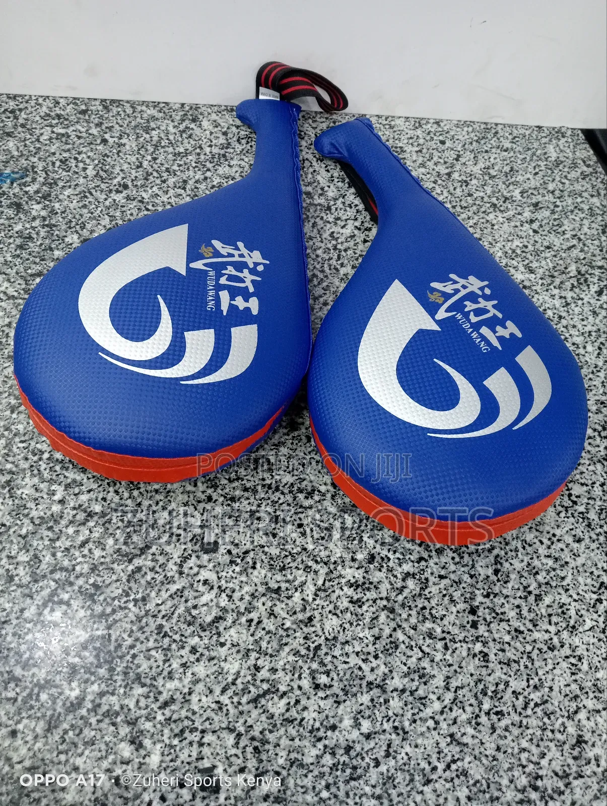 Taekwondo Flippers