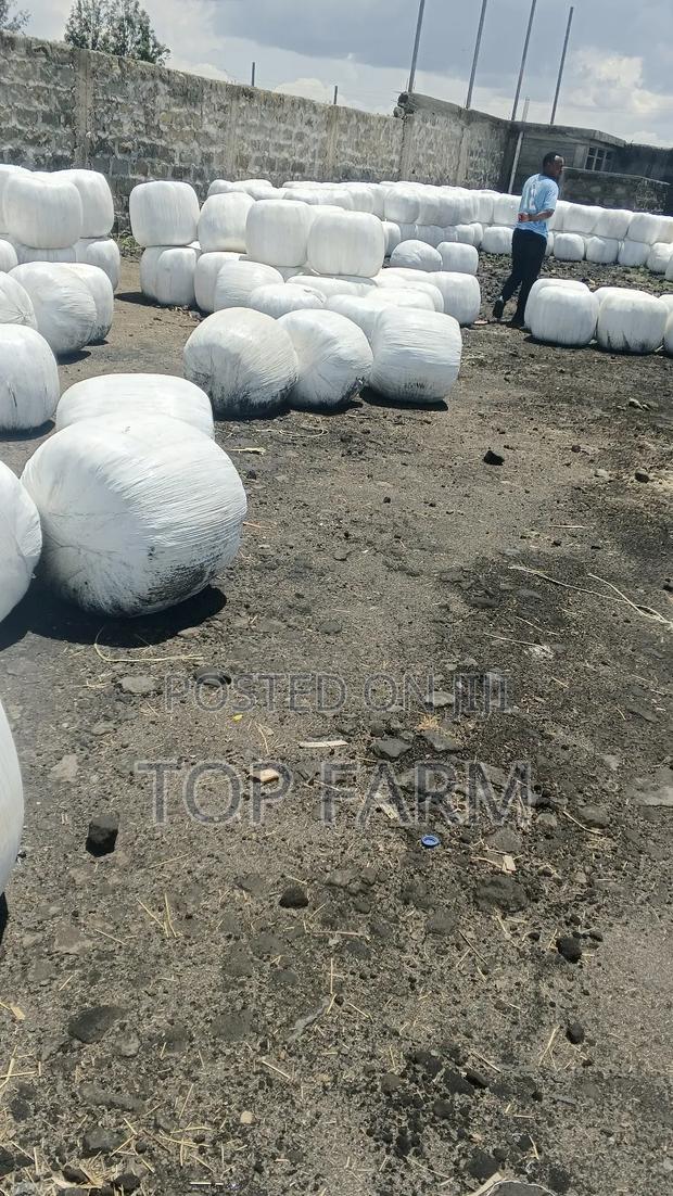 Silage Feeds - main view
