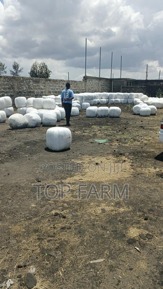 Silage Feeds - thumbnail 3