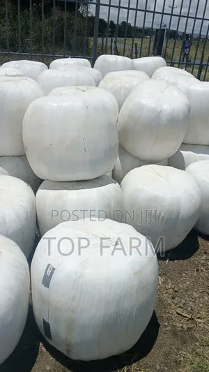 Silage Feeds