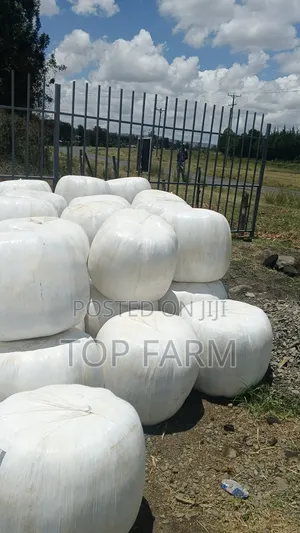 Silage Feeds