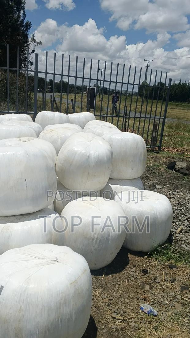 Silage Feeds - thumbnail 5