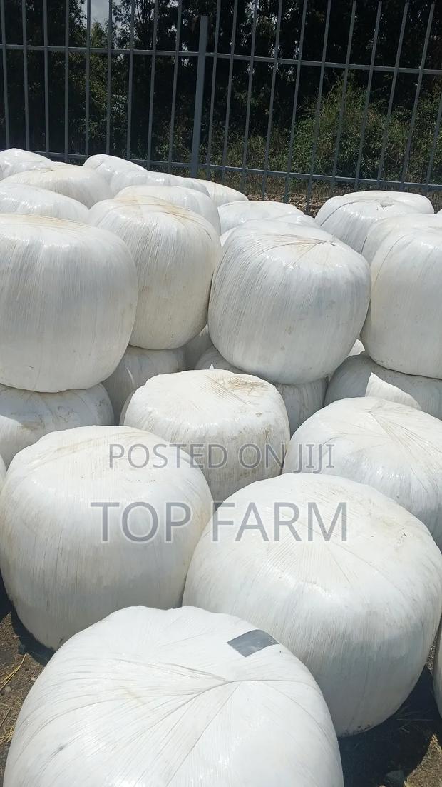 Silage Feeds - thumbnail 6