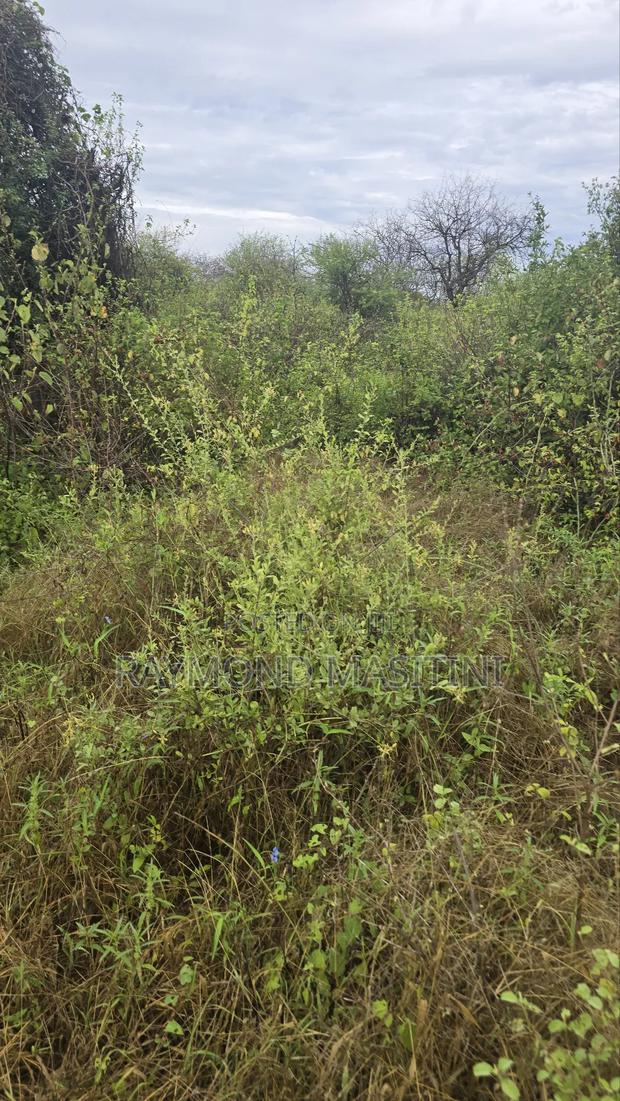 51acres Near the River Athi on Sale - thumbnail 5