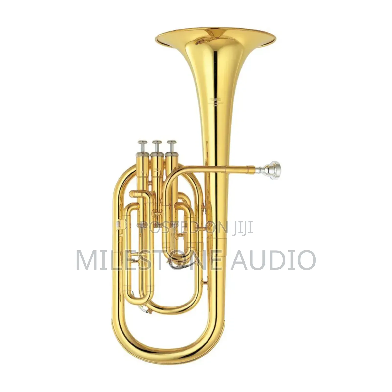 Alto/Tenor Horn