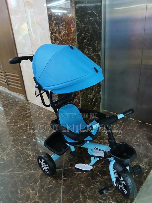Kids Tricycles With Canopy, Push Handle and Cage - main view