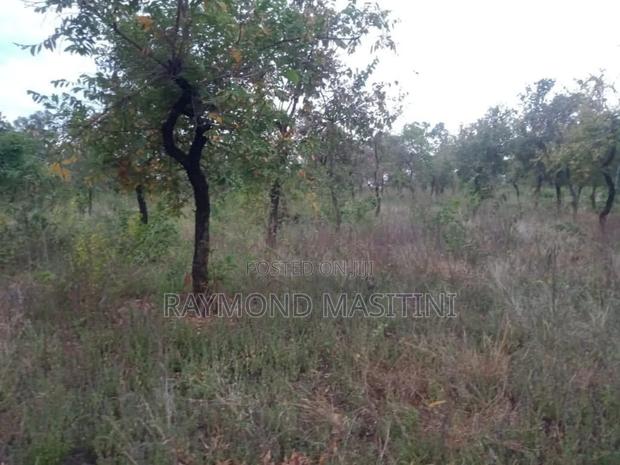 5acres Land on the Highway With a View - thumbnail 4