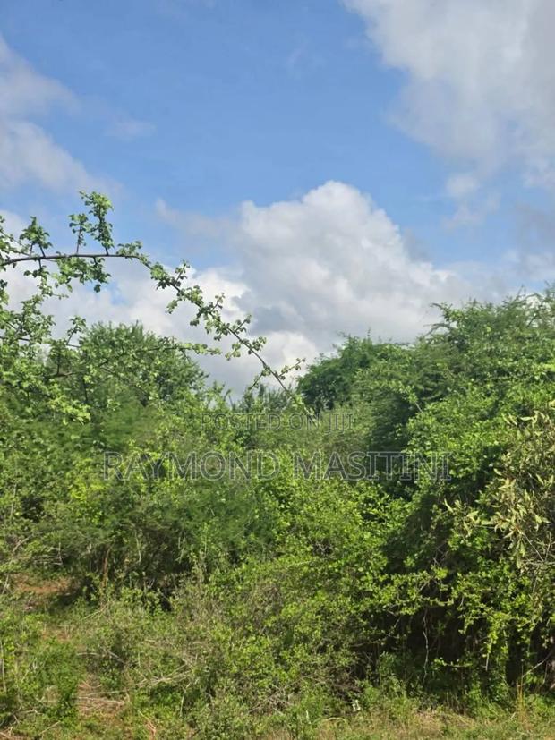 5acres Land on the Highway With a View - thumbnail 5