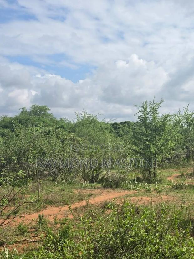 5acres Land on the Highway With a View - thumbnail 6