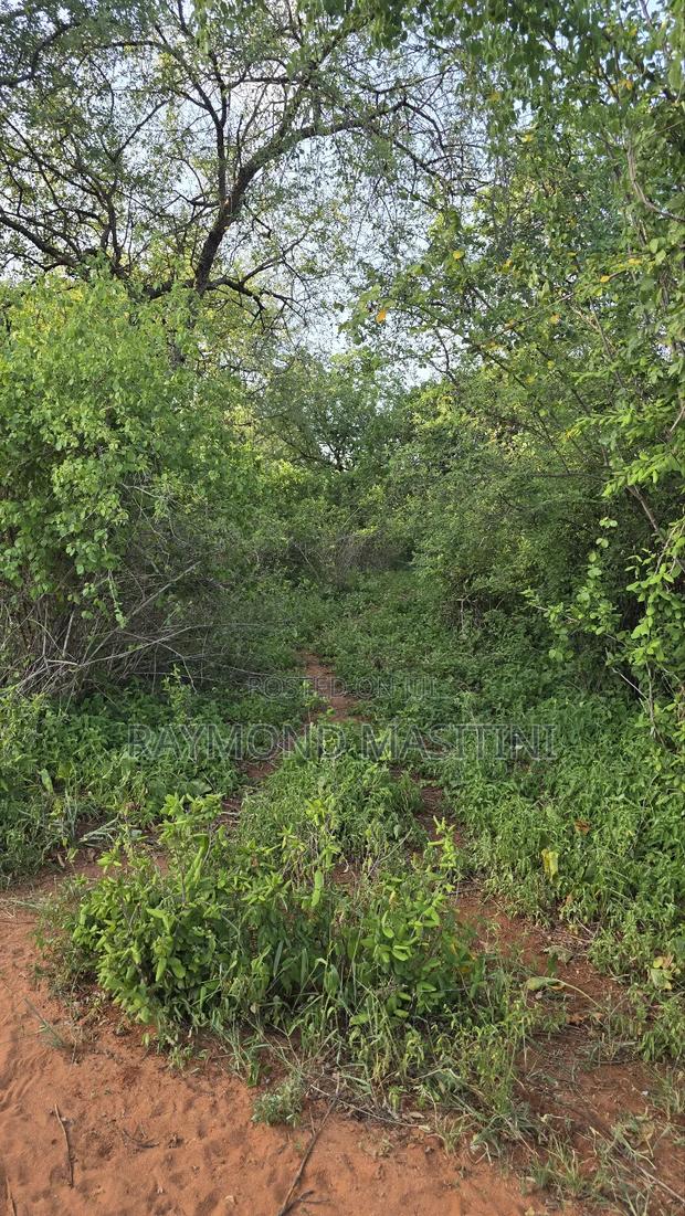 5acres Land on the Highway With a View - thumbnail 3