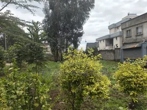 Strictly Residential Quarter Acre Plot for Sale in Kerarapon Drive