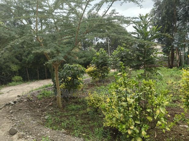 Strictly Residential Quarter Acre Plot for Sale in Kerarapon Drive - thumbnail 5