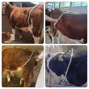 Strong Metal Anti-Kick Bar for Dairy Farms