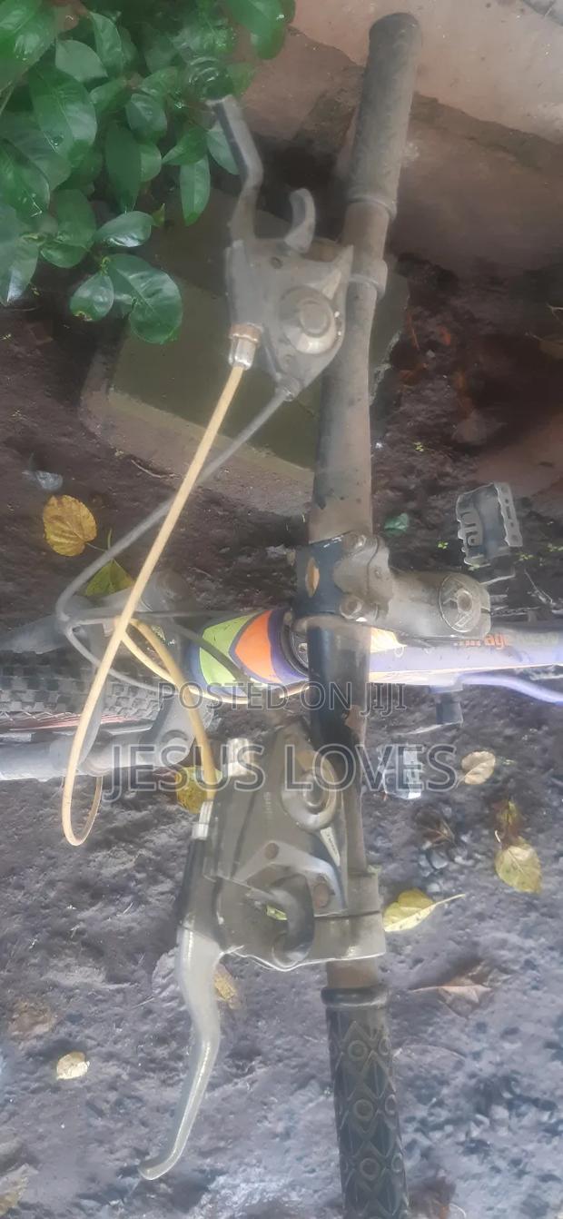 Bike Made for Durability - thumbnail 7