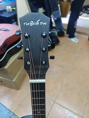 Malt Acoustic Guitar