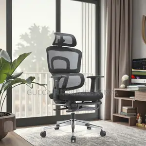 Executive Office Ergonomic Chair With Footrest