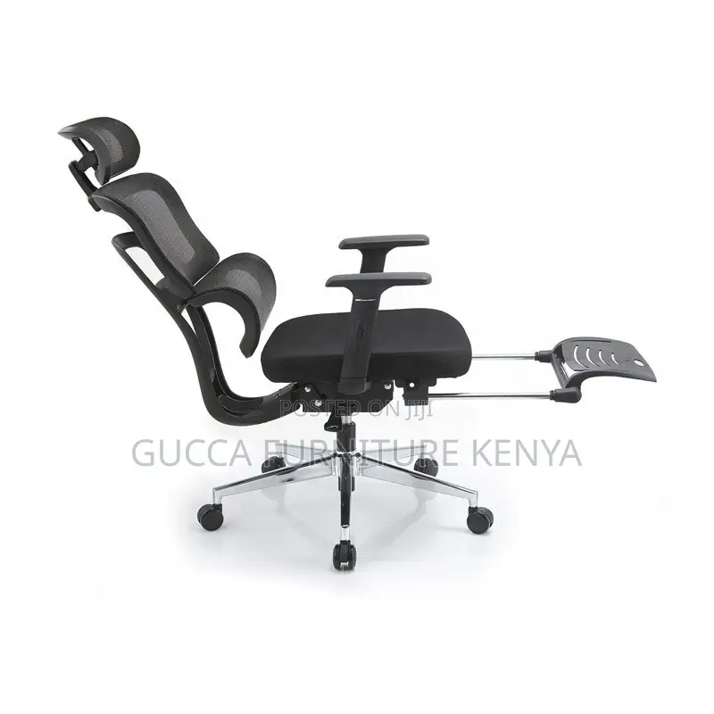 Executive Office Ergonomic Chair With Footrest
