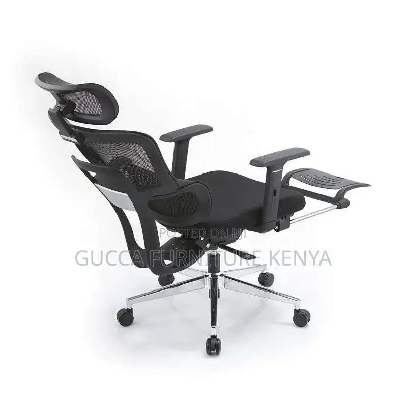Executive Office Ergonomic Chair With Footrest