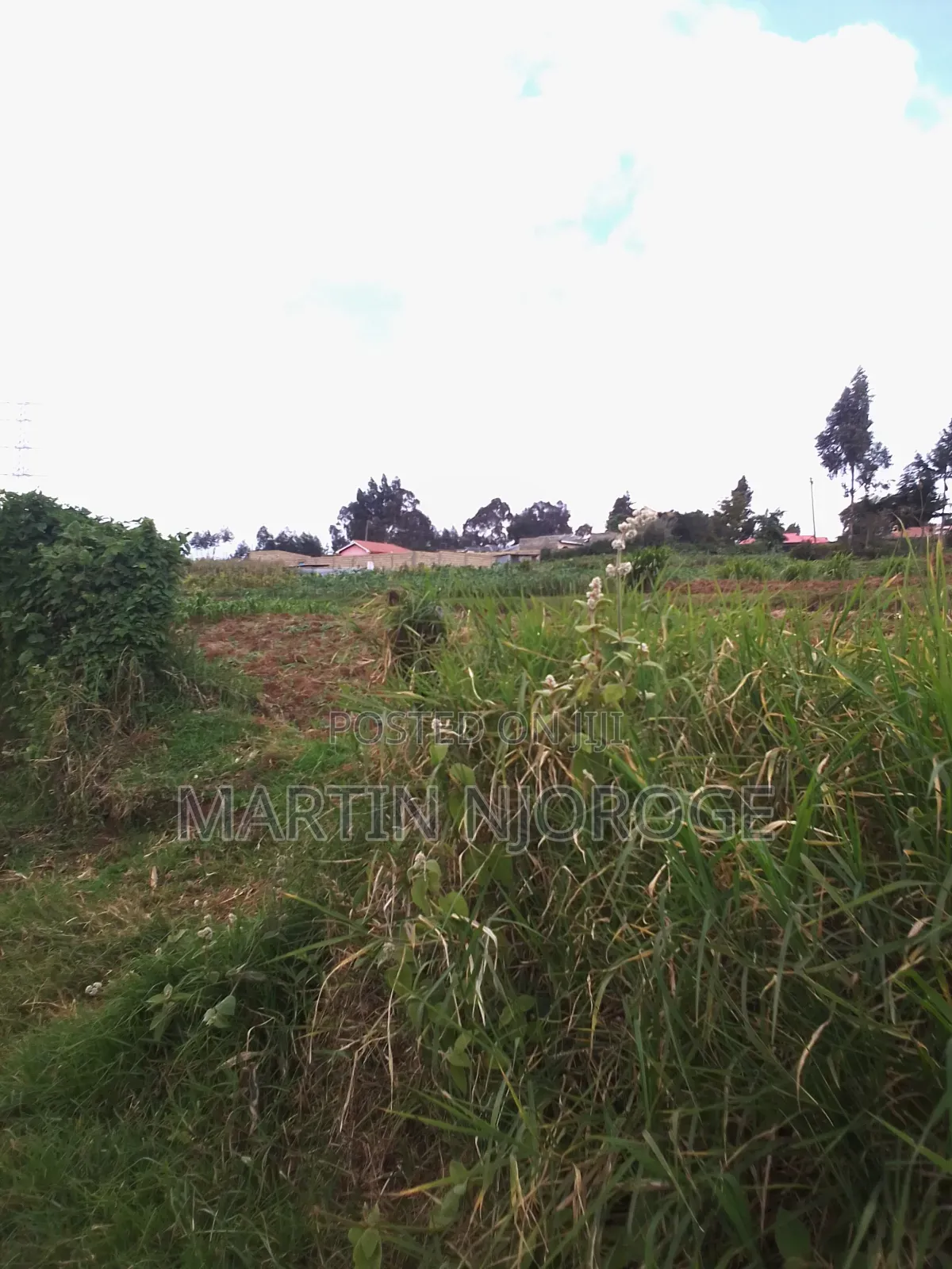 1⁄4 Acre Plot Juvenalis