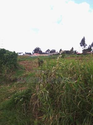 1⁄4 Acre Plot Juvenalis - thumbnail 2