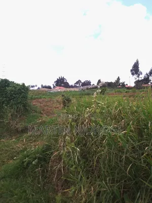 1⁄4 Acre Plot Juvenalis