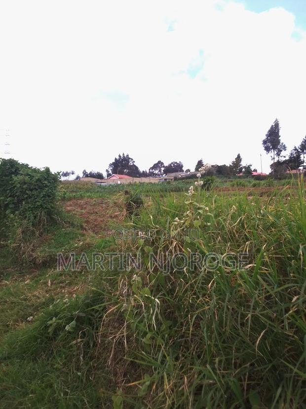 1⁄4 Acre Plot Juvenalis - main view