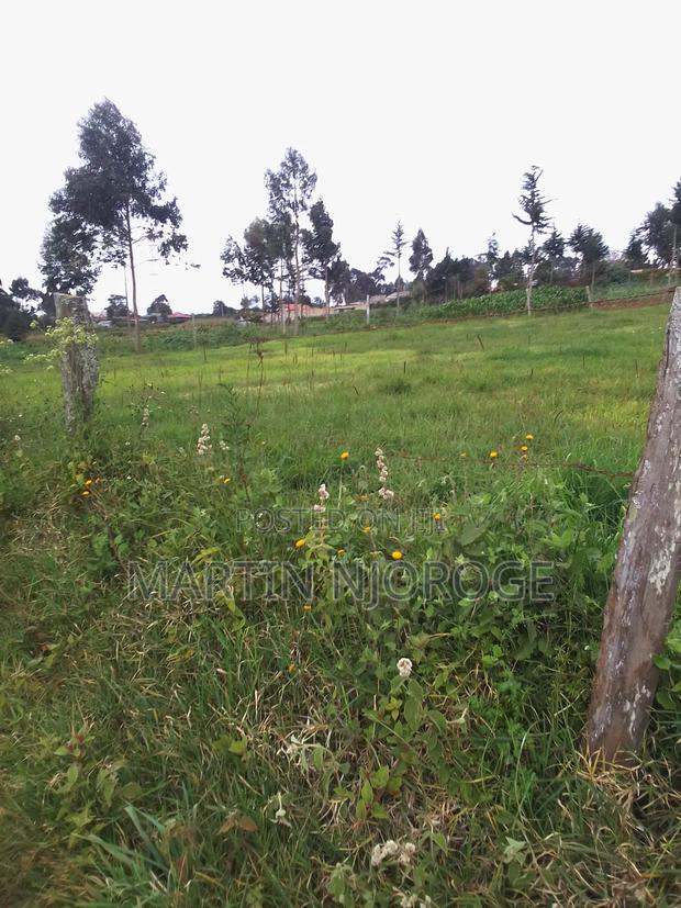 1⁄4 Acre Plot Juvenalis - thumbnail 3