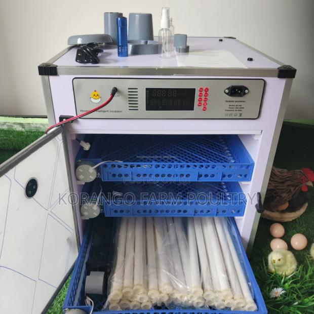 Sollar Battery Eggs Incubator - thumbnail 2