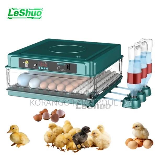 Eggs Incubator Battery Uses - main view