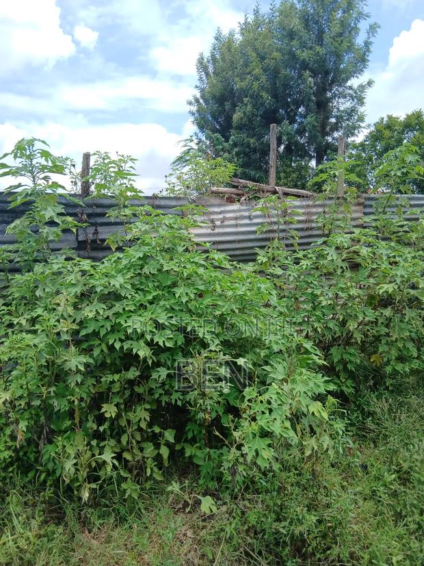 100x100 Commercial Plot On Sale Mugutha Main Road. - thumbnail 12