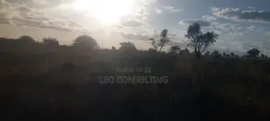 Prime Full 50 by 100 Plot on Quick Sale Near Kajiadotown