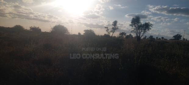 50×100 Plot for Sale in Kajiado Town – Near Tarmac, Ready Title - thumbnail 2