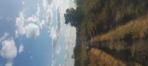 Prime Full 50 by 100 Plot on Quick Sale Near Kajiadotown