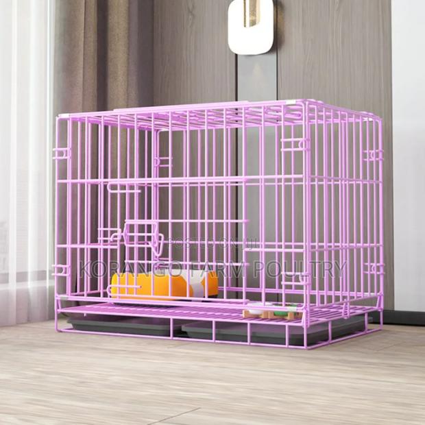 Rabbit Cats Crates - main view