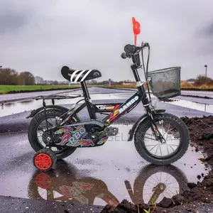 Stabilizer Installed 16 Inch 4-7 Years Old Children Kids Bike Bicycle